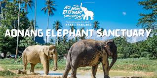 Ao Nang Elephant Sanctuary Visit